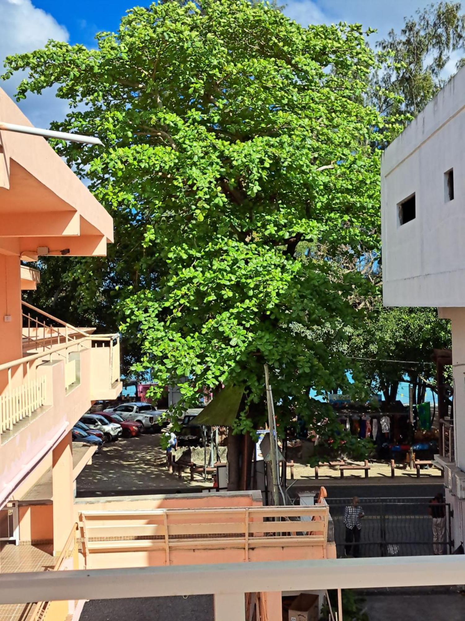 Bano Beach Residence - Grand Bay Beach ภายนอก รูปภาพ